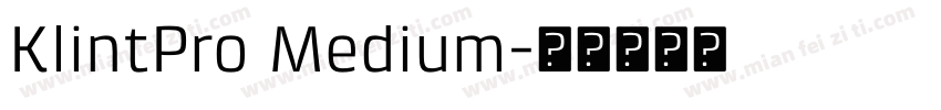 KlintPro Medium字体转换